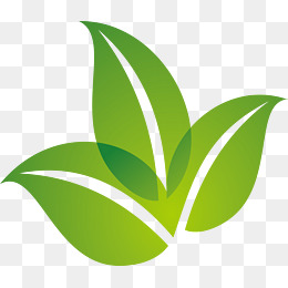 260x260 Green Leaf Png, Vectors, Psd, And Clipart For Free Download Pngtree