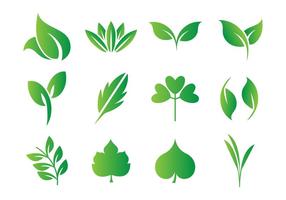 286x200 Green Leaf Vector