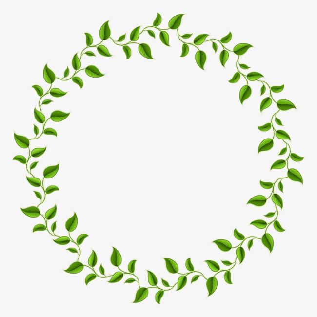 650x650 Green Leaves Decorative Circle, Decorative Olive Branch, Green