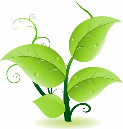 404x425 Green Leaves Vector