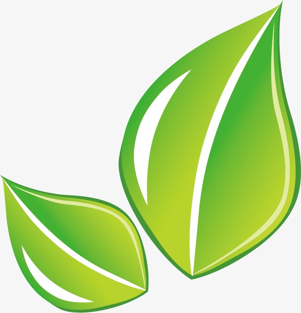 611x634 Green Leaves Vector Material, Green Leaves, Green, Plant Png And