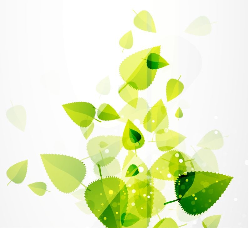 799x727 Abstract Green Leaves Vector Background Free Vector Graphics