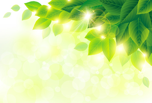 500x338 Green Leaf Free Vector Download (9,408 Free Vector) For Commercial