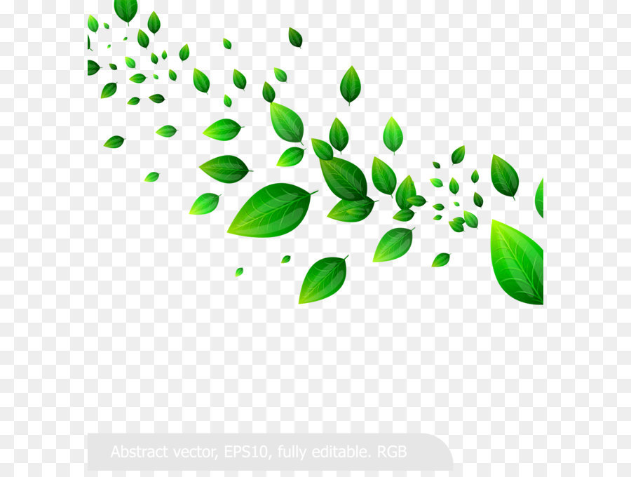 900x680 Leaf Clip Art