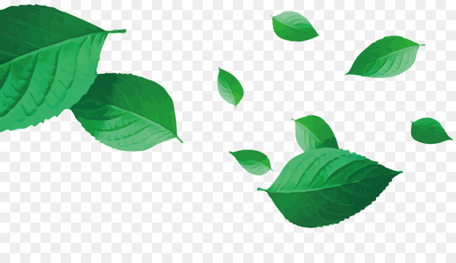 900x520 Download Green Leaf Vector Tea