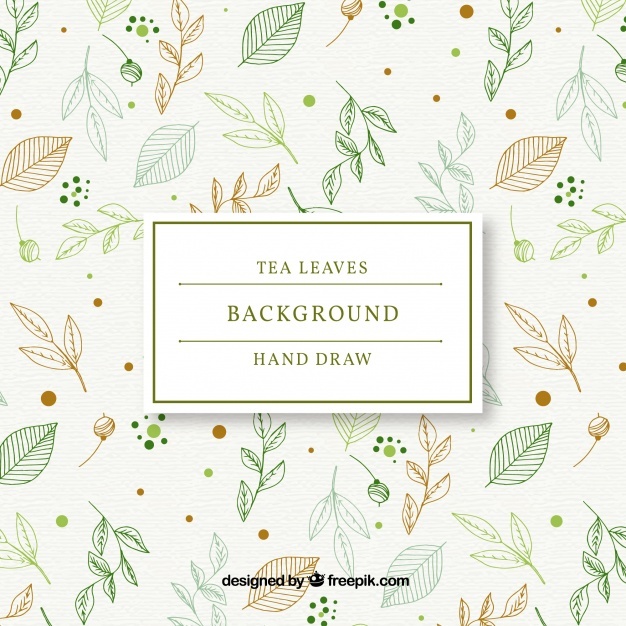 626x626 Green Tea Vectors, Photos And Psd Files Free Download