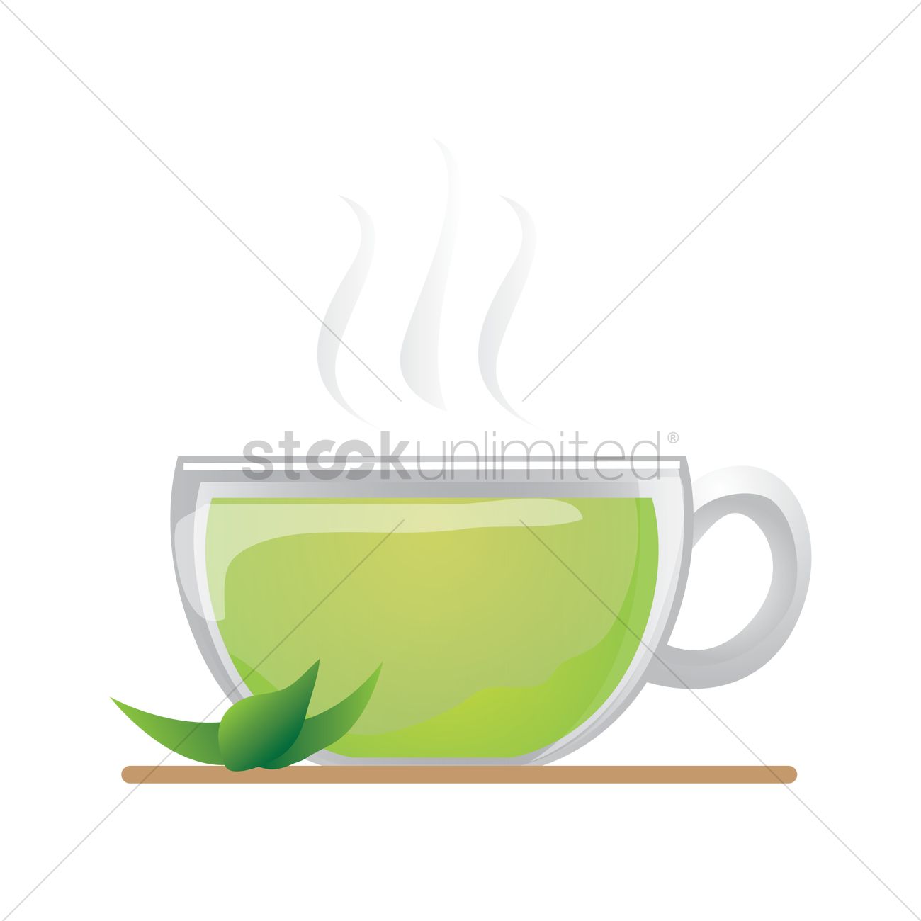 1300x1300 Green Tea Vector Image