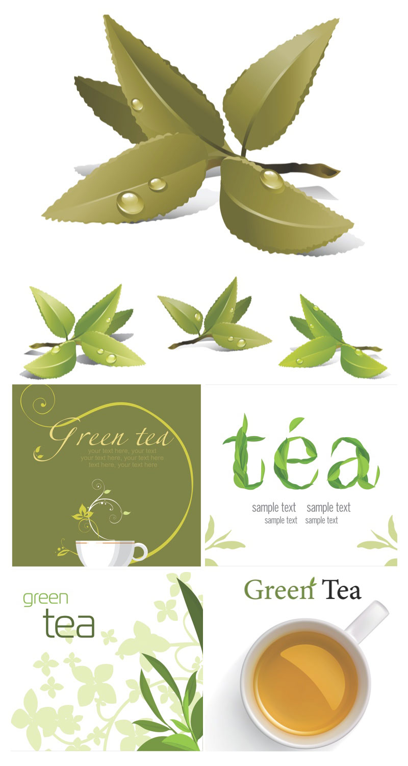 800x1500 Green Tea Vector Backgrounds Vector Graphics Blog