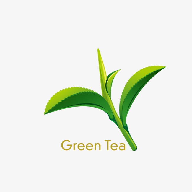 650x650 Green Tea, Leaf, Natural Spa Supplies Png And Vector For Free Download