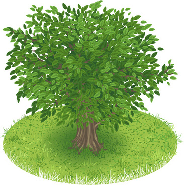 366x368 Free Vector Green Tree Free Vector Download (11,138 Free Vector