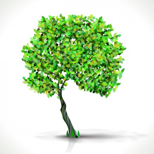 626x626 Green Tree Vector Free Download