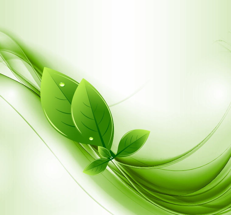 760x706 Eco Leaves And Green Wave Vector Free Vector Graphics All Free