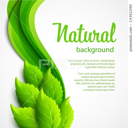 468x450 Natural Vector Background With Green Spring Leaves