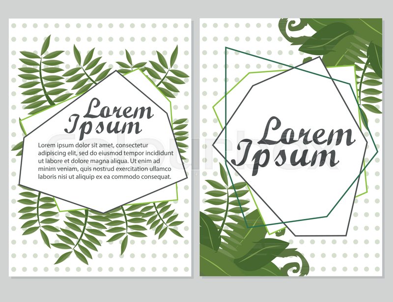 800x615 Set Of Floral Vector Cards Design With Green Leaves