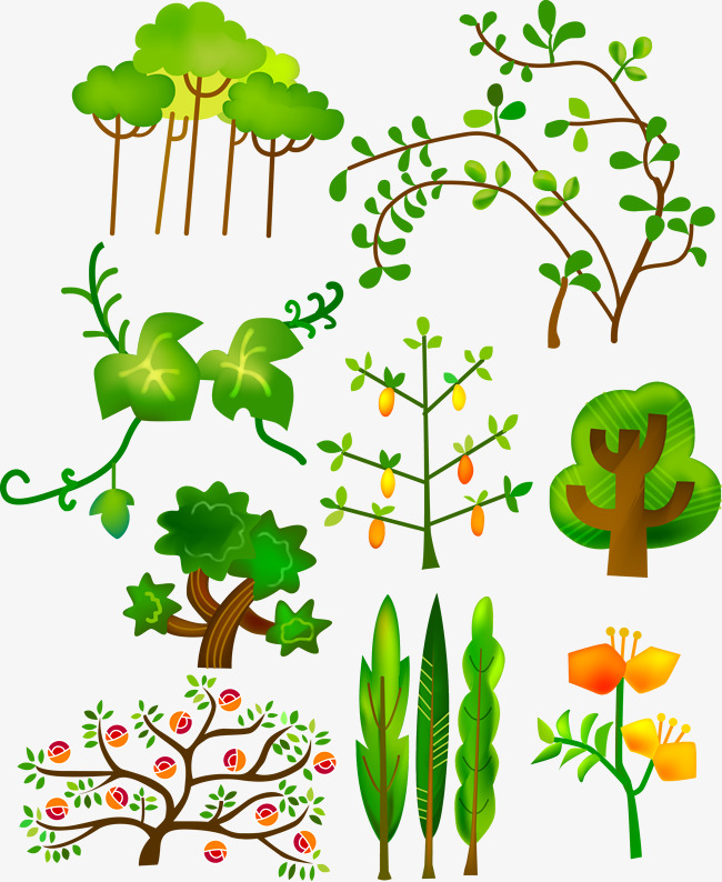 650x794 Vector Green, Greenery, Vector, Plant Png And Vector For Free Download