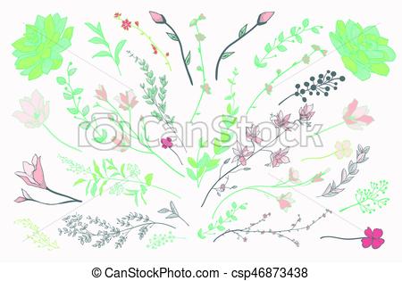 450x315 Colorful Drawn Herbs, Plants And Flowers. Vector Illustration