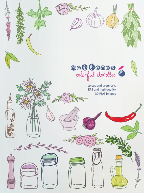 570x760 Hand Drawn Spices And Greenery. Vector Eps And 30 High Quality Etsy