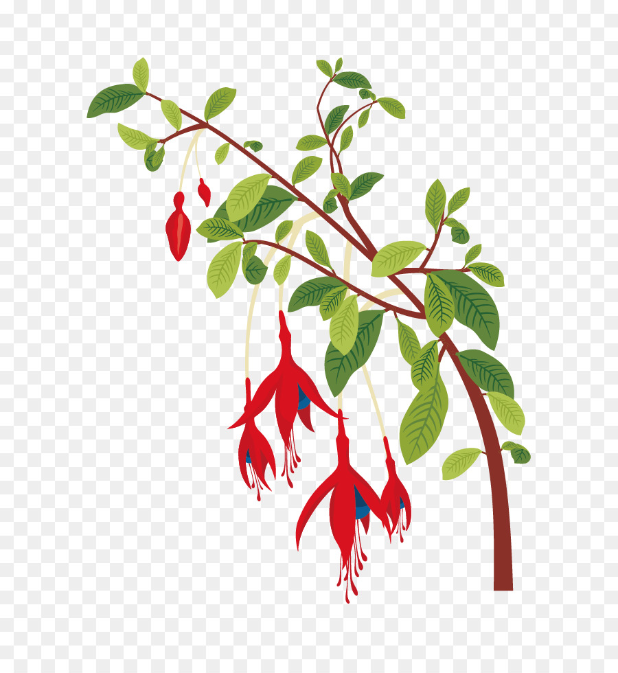 900x980 Flower Plant