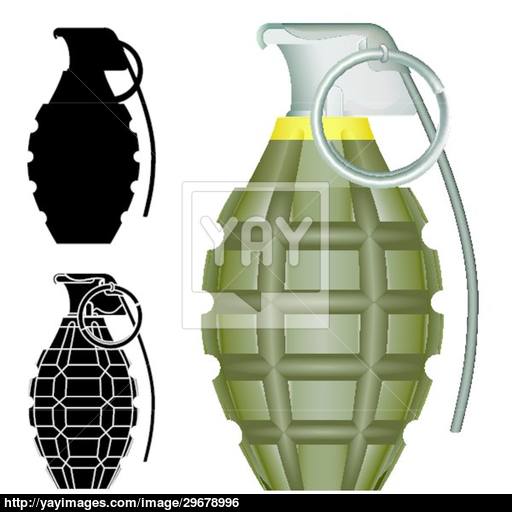 512x512 Pineapple Grenade Vector Vector