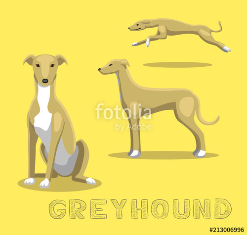 500x475 Dog Greyhound Cartoon Vector Illustration Stock Image And Royalty