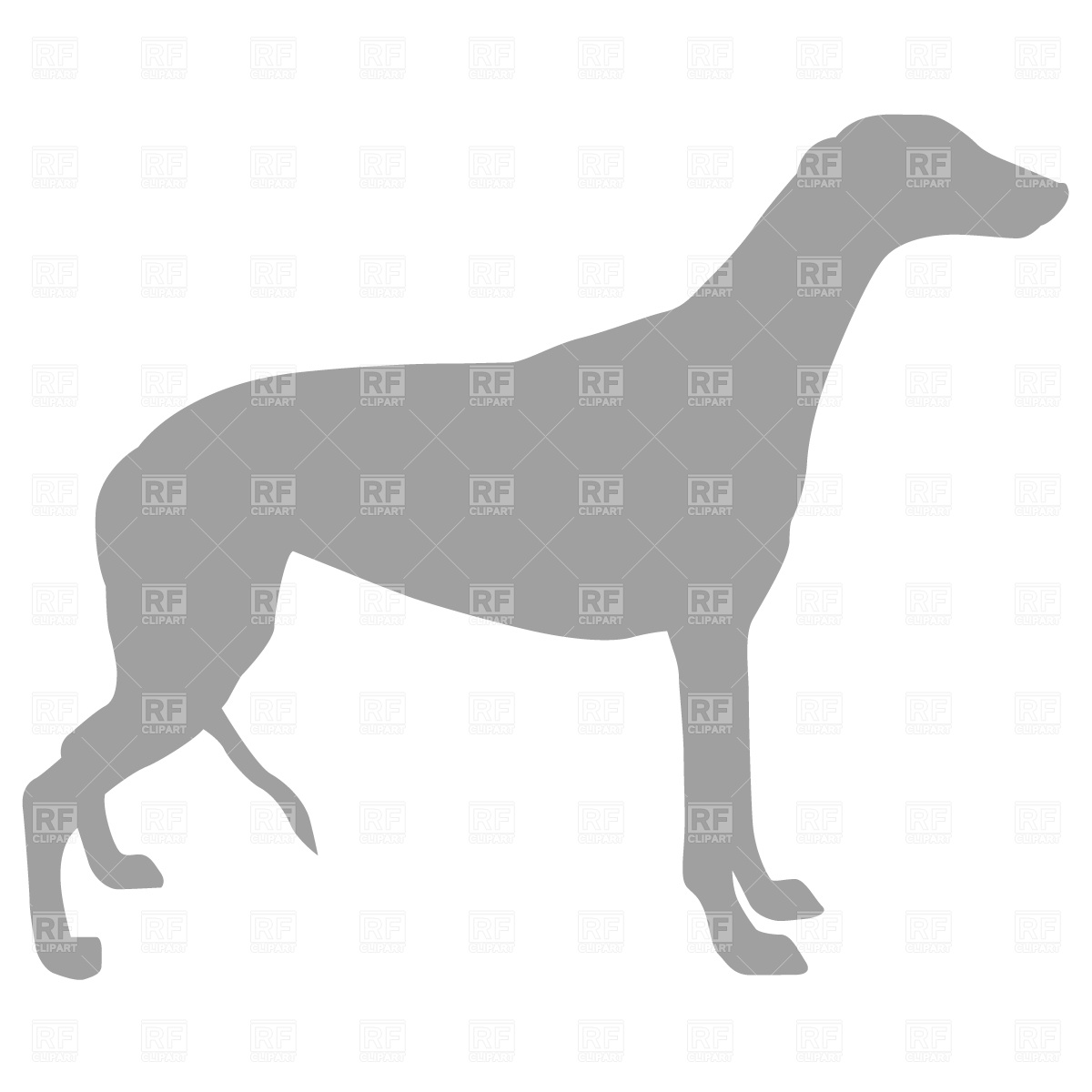 1200x1200 English Greyhound Silhouette Vector Image Vector Artwork Of