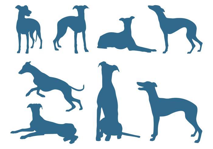 700x490 Greyhound Silhouette Graphic