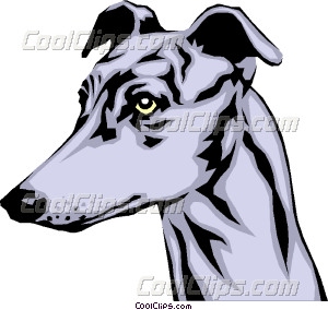 300x284 Greyhound Vector Clip Art
