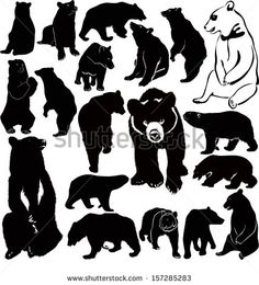 Grizzly Bear Vector