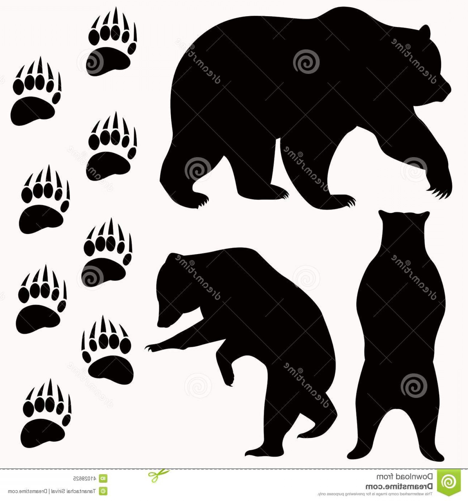 1560x1668 Stock Illustration Bear Vector Bears Eps Image Shopatcloth