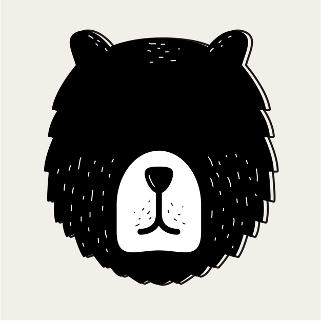 626x626 Bear Vectors, Photos And Psd Files Free Download