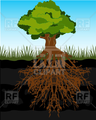 319x400 The Big Tree And Root In Ground Vector Image Vector Artwork Of