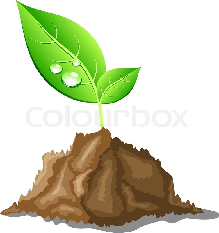 753x800 Young Sprout In Ground Vector Illustration Stock Vector Colourbox