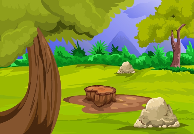 650x450 My3videos Forest Ground Vector