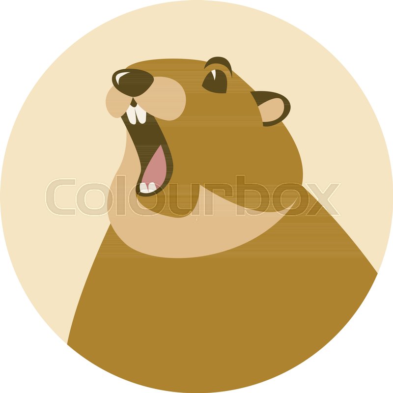 800x800 Groundhog Head Vector Illustration Flat Style Front View Stock