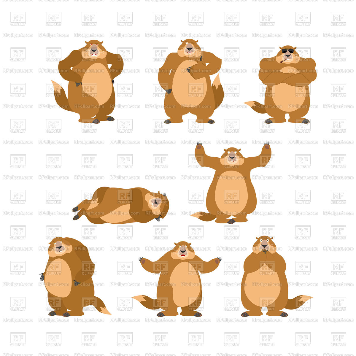 1200x1200 Groundhog Set Poses And Motion Vector Image Vector Artwork Of