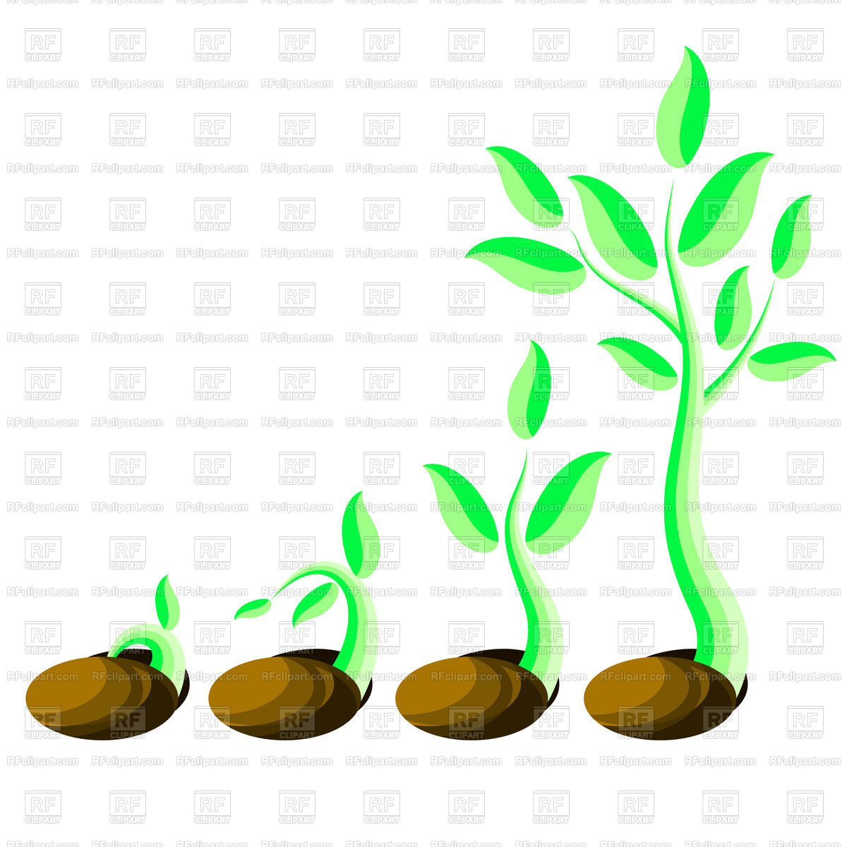 1200x1200 Phases Plant Growth Vector Image Vector Artwork Of Plants And