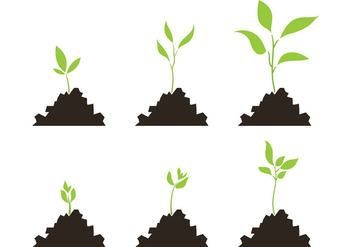 352x247 Vector Plant Growth Cycle Free Vector Download 327565 Cannypic