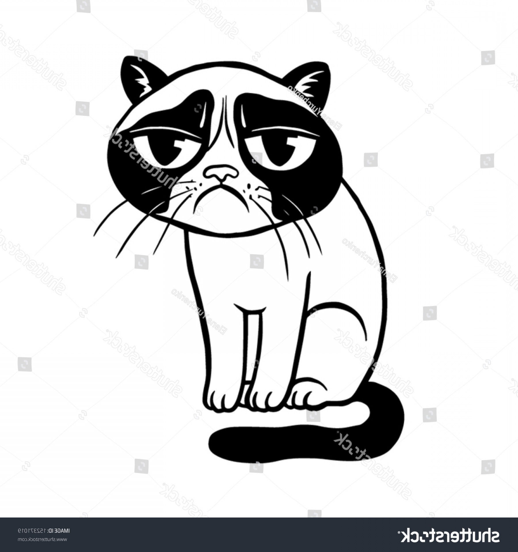 1800x1920 Grumpy Cat Vector Arenawp