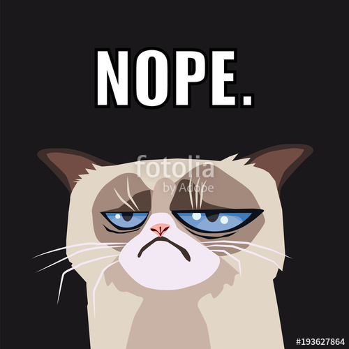 500x500 Grumpy Cat Vector Stock Image And Royalty Free Vector Files On