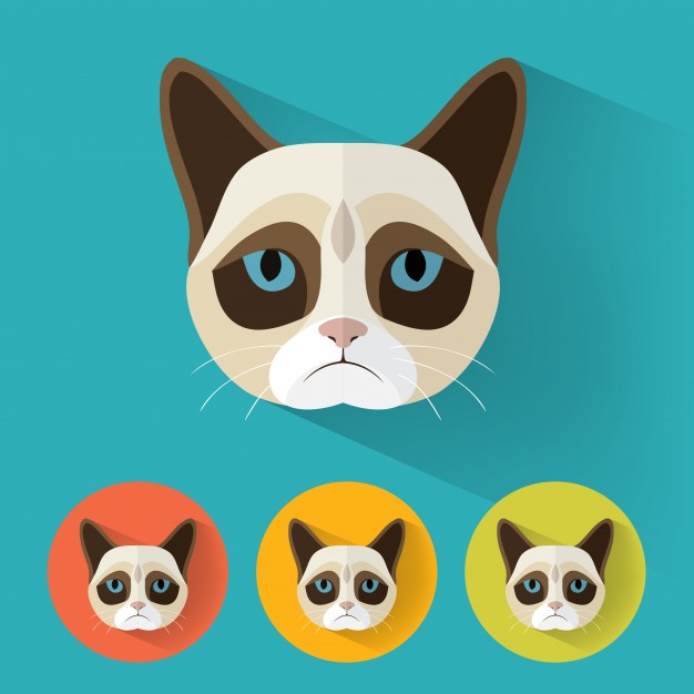 626x626 Grumpy Cat Vectors, Photos And Psd Files Free Download