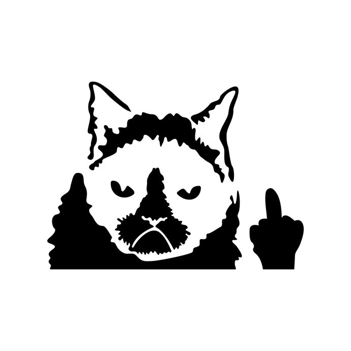 690x690 Grumpy Cat Graphics Design Svg Dxf Eps Png By Vectordesign On Zibbet