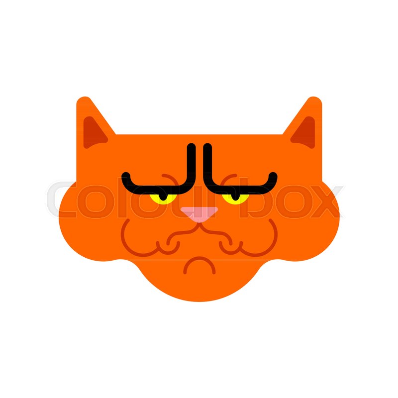 800x800 Grumpy Cat Isolated. Angry Pet. Vector Illustration Stock Vector