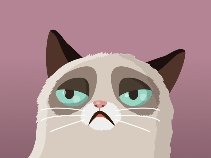 800x600 Vector Grumpy Cat V.2 By Sara Michieli