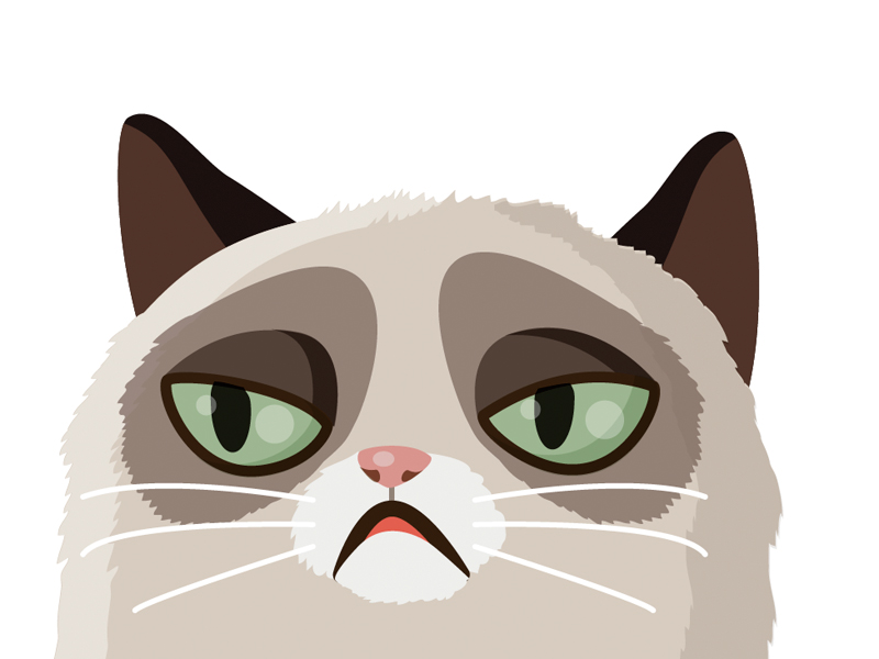 800x600 Vector Grumpy Cat By Sara Michieli