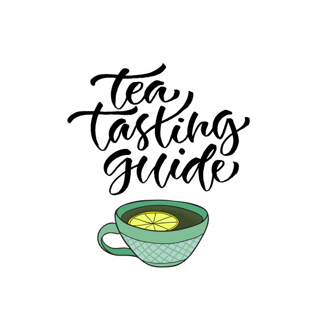 626x626 Tea Tasting Guide. Vector Calligraphy For Menu. Modern Hand