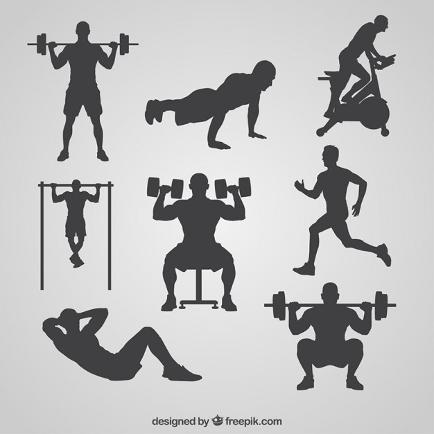 626x626 Gym Vectors, Photos And Psd Files Free Download