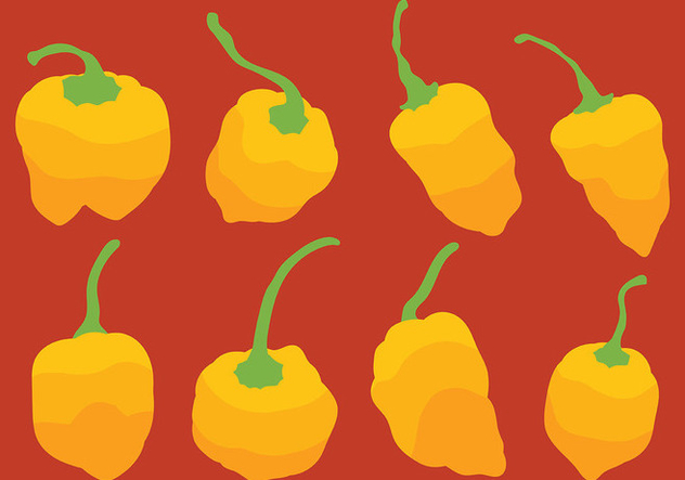 632x443 Habanero Vector Icons Free Vector Download 439363 Cannypic