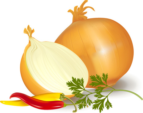 464x368 Habanero Pepper Free Vector Download (213 Free Vector) For