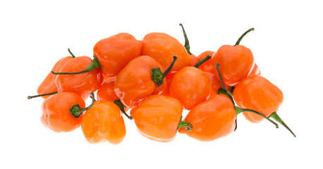 458x240 Habaneros Photos, Royalty Free Images, Graphics, Vectors Amp Videos