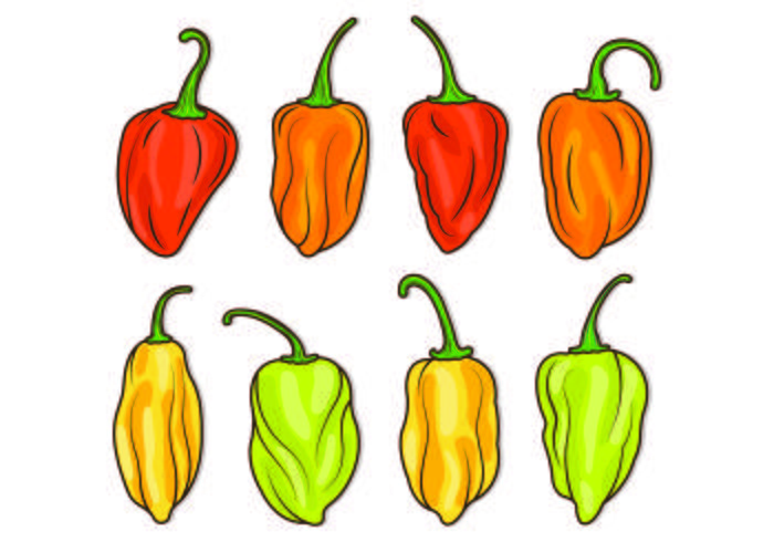 700x490 Set Of Chili Habanero Vector